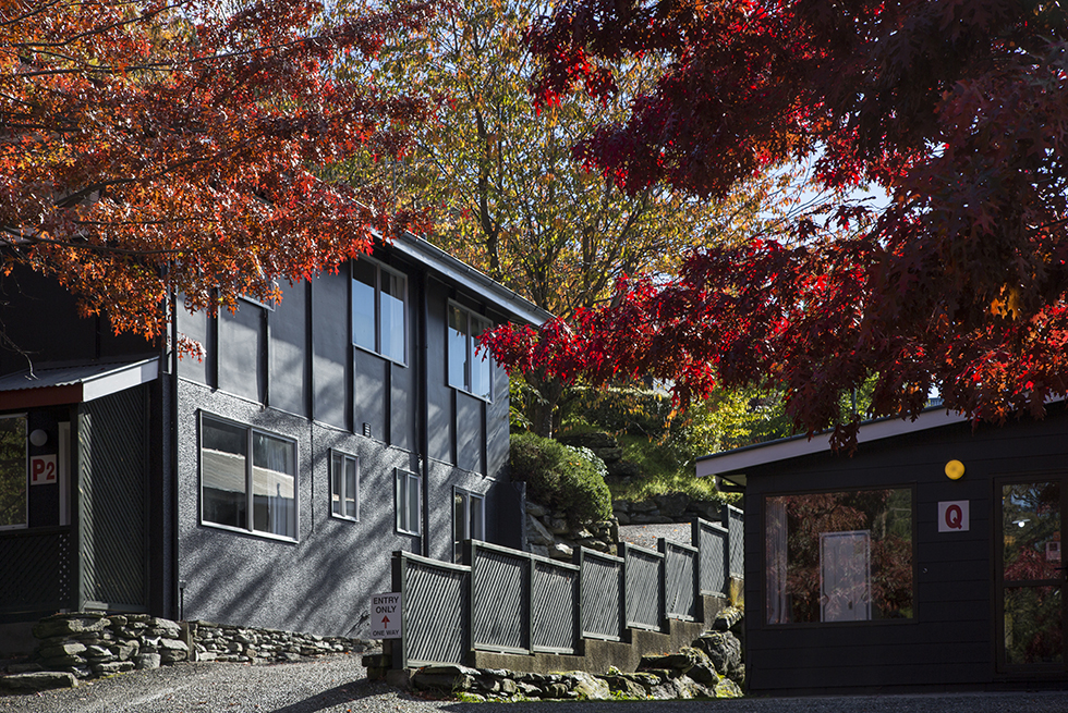 Street view with varying color trees