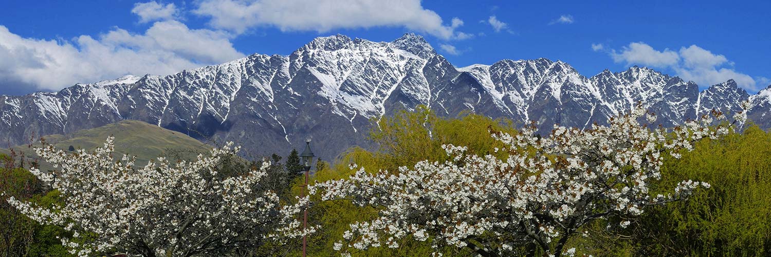 Special Offers Banner