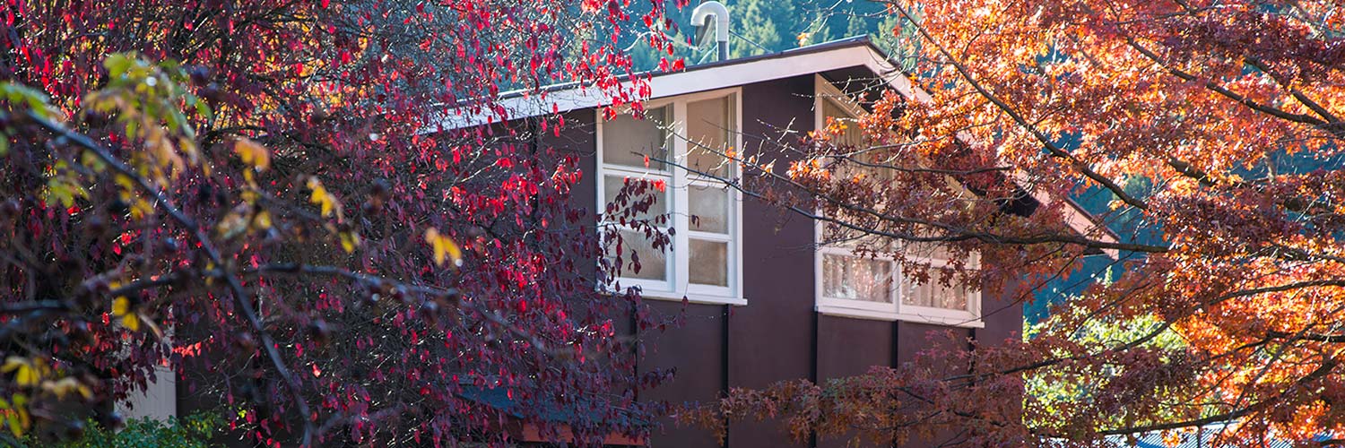 Private Backpackers Rooms