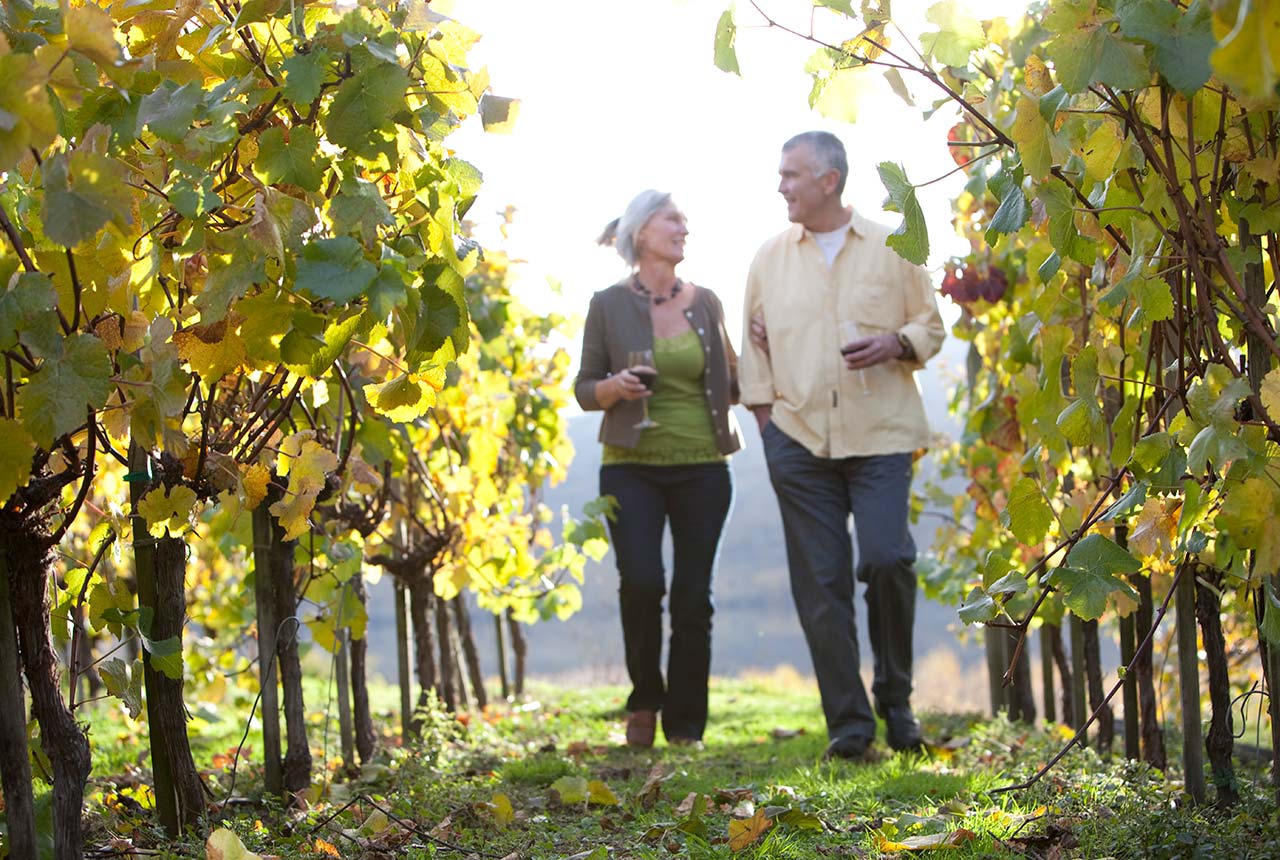 Couple walking through winery